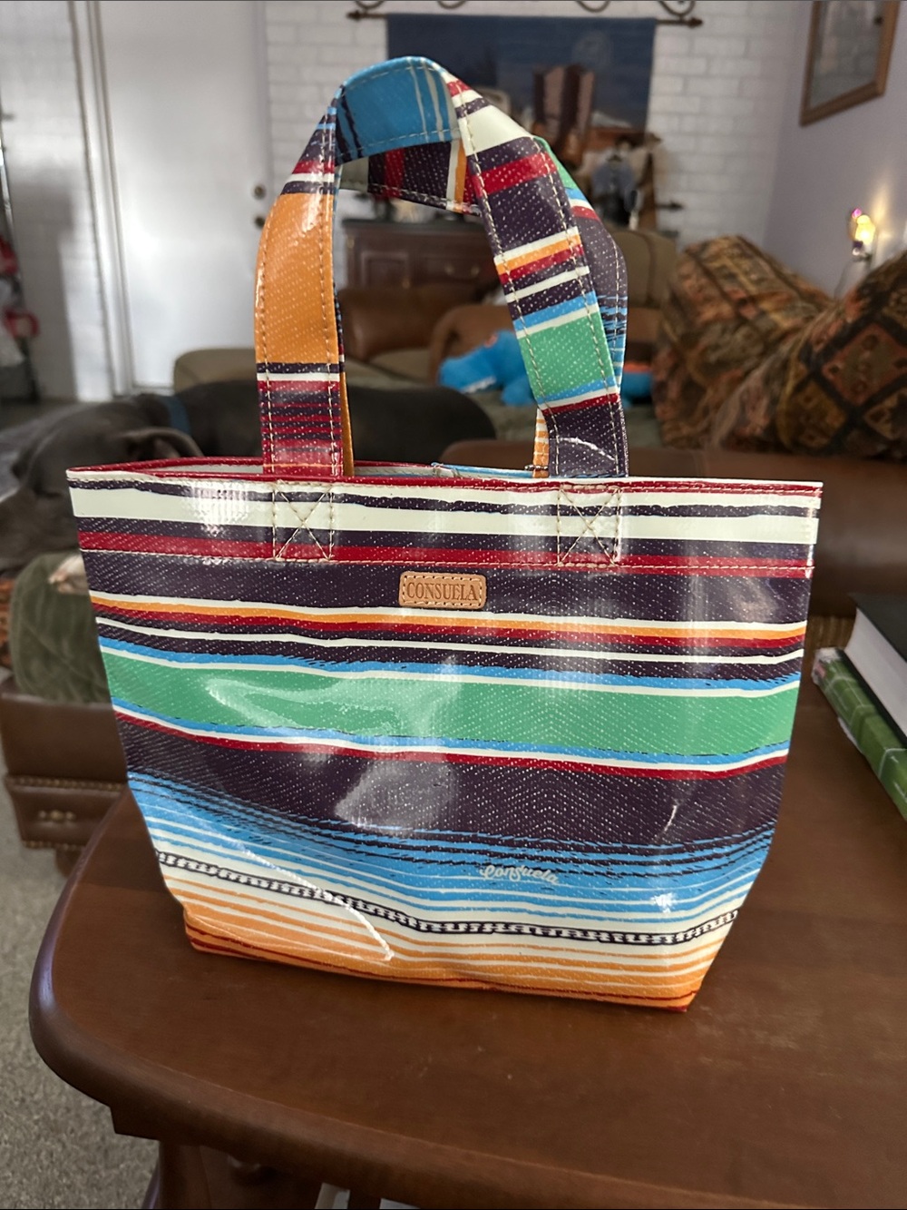 Consuela Striped Coated Grab and Go Tote in Green, Blue, Orange